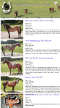 Mobile Screenshot of canoeridgequarterhorses.com