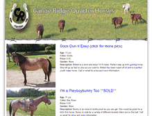 Tablet Screenshot of canoeridgequarterhorses.com